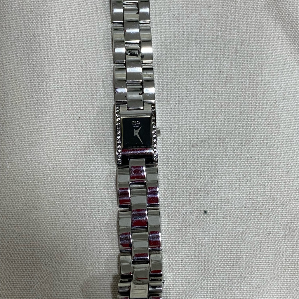 Esq Swiss Watch